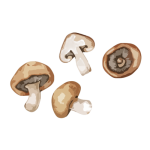 chestnut mushrooms background image