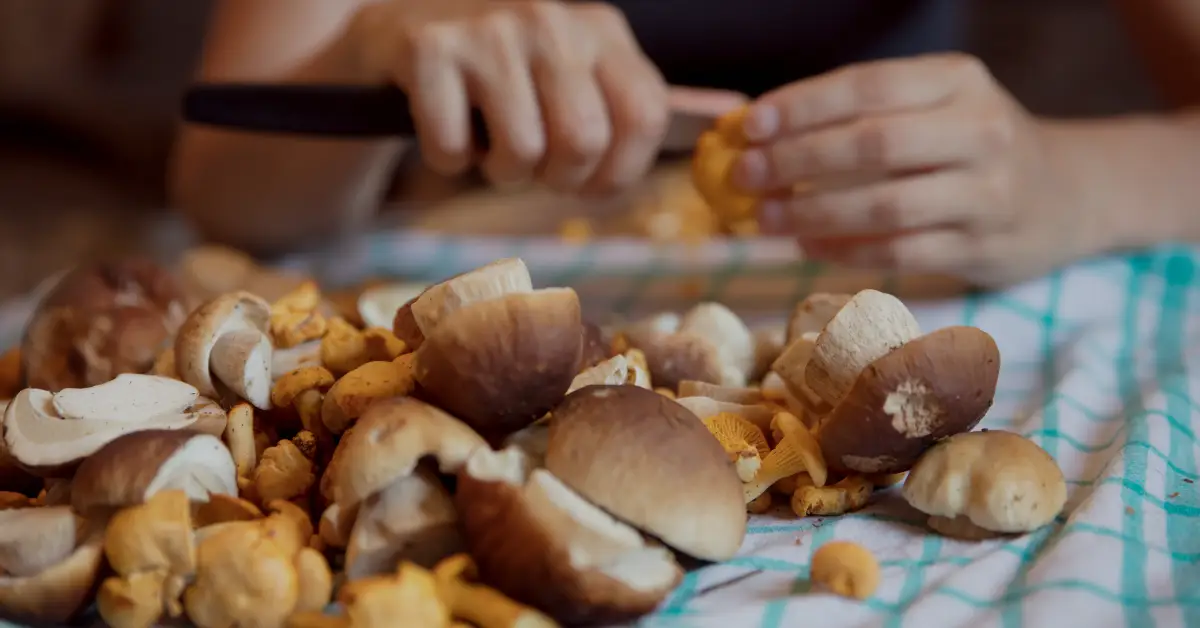 how to clean chestnut mushrooms