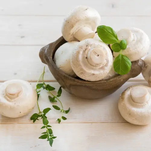 are chestnut mushrooms better than white image