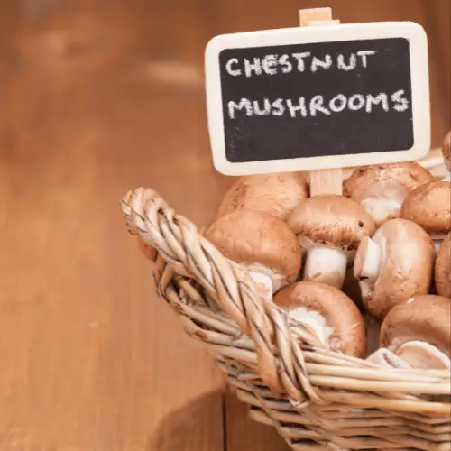 are chestnut mushrooms better than white