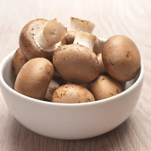 can chestnut mushrooms make you sick