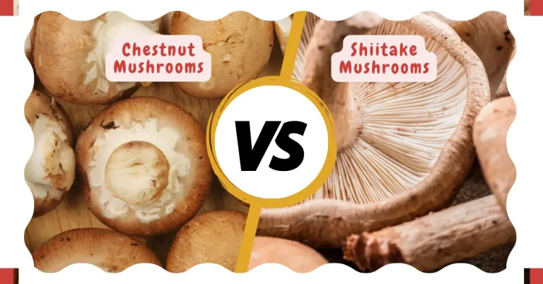 chest mushrooms vs shiitake mushrooms