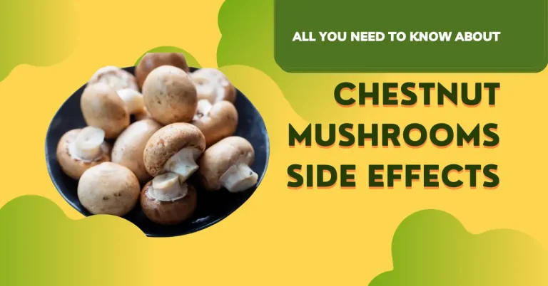 Chestnut Mushrooms Side Effects