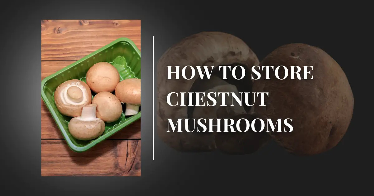 how to store chestnut mushrooms