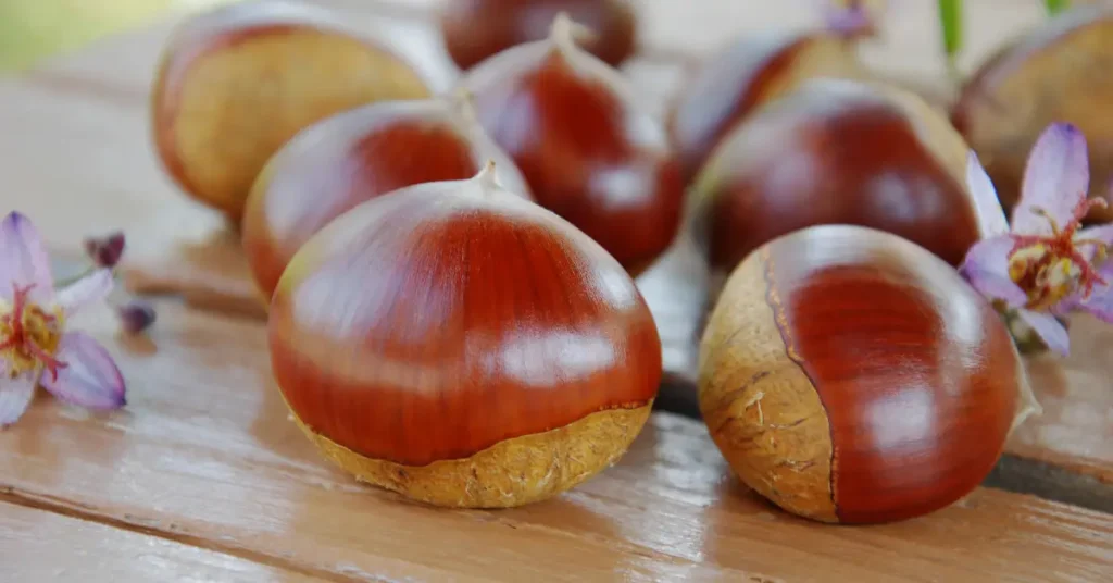 Are Chestnut Mushrooms nuts