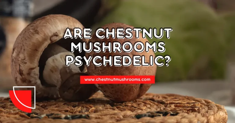 Are Chestnut Mushrooms psychedelic mushrooms