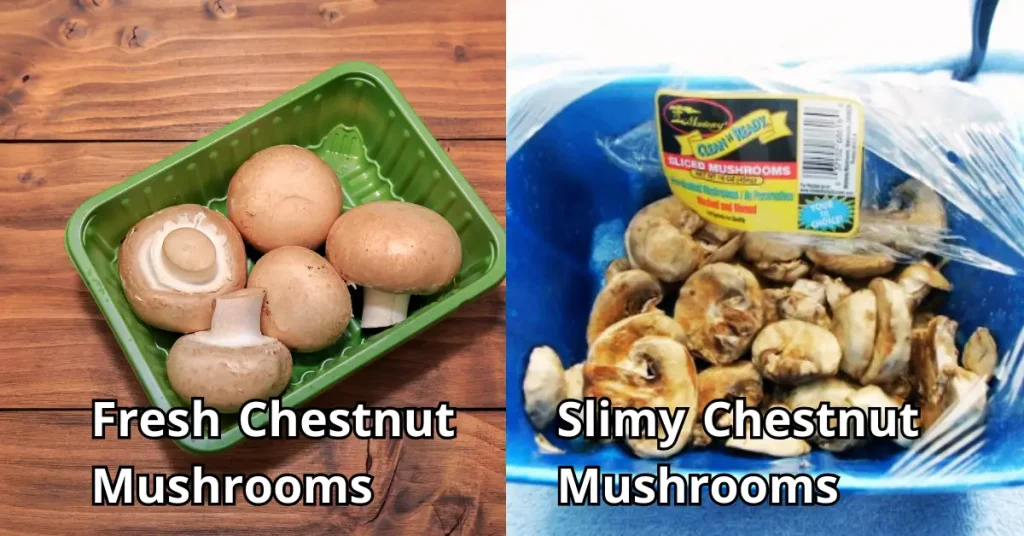Chestnut Mushrooms slimy