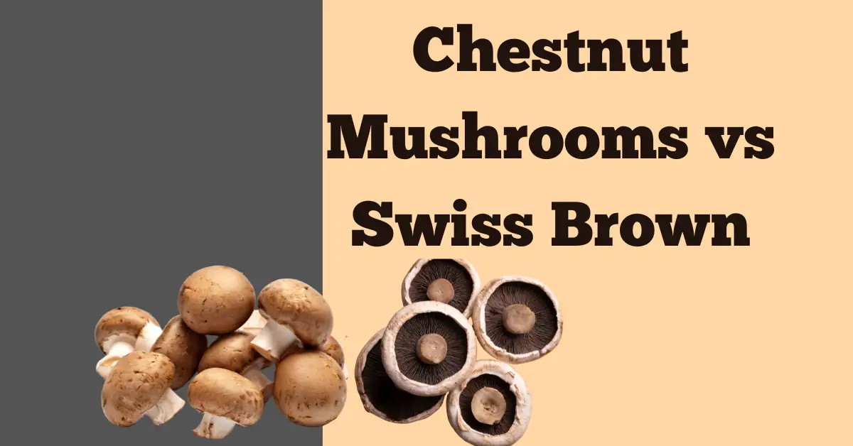 Chestnut Mushrooms vs Swiss Brown