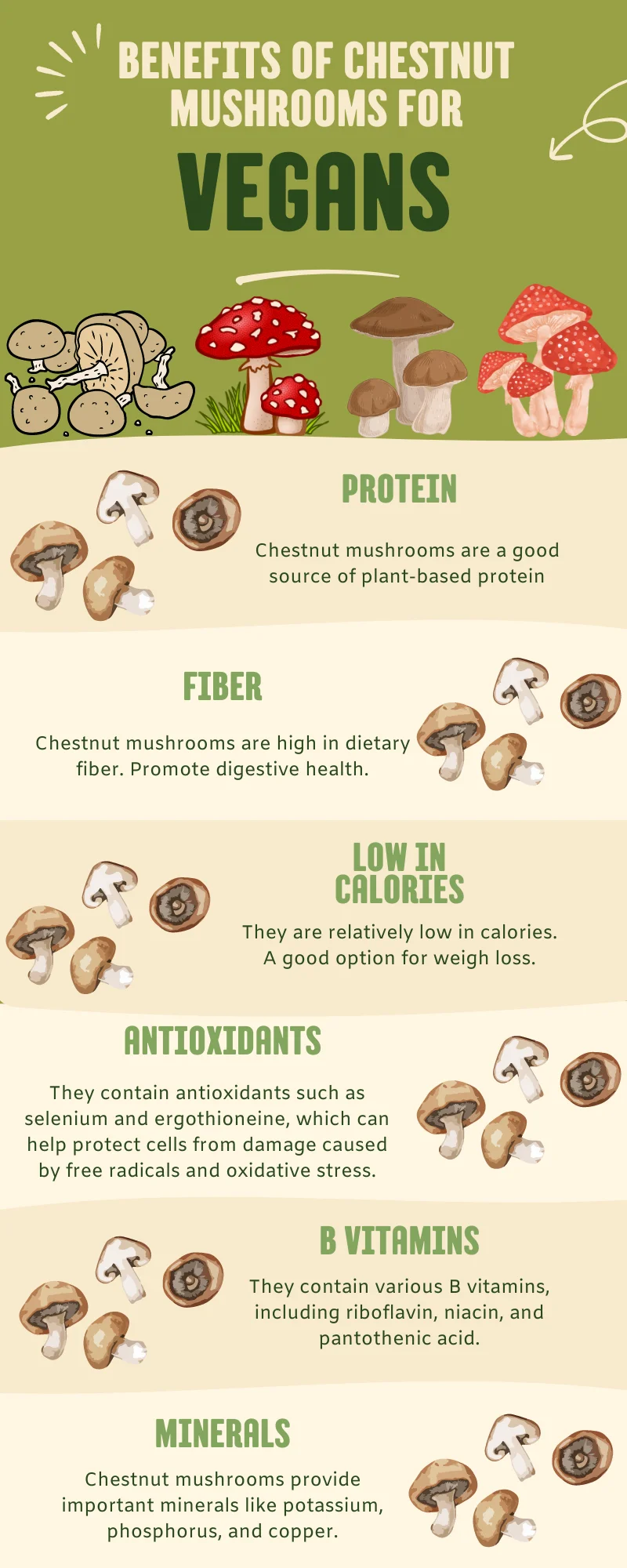 Are chestnut mushrooms suitable for a vegan diet