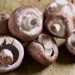 are chestnut mushrooms high in protein