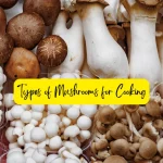 Types of Mushrooms for Cooking