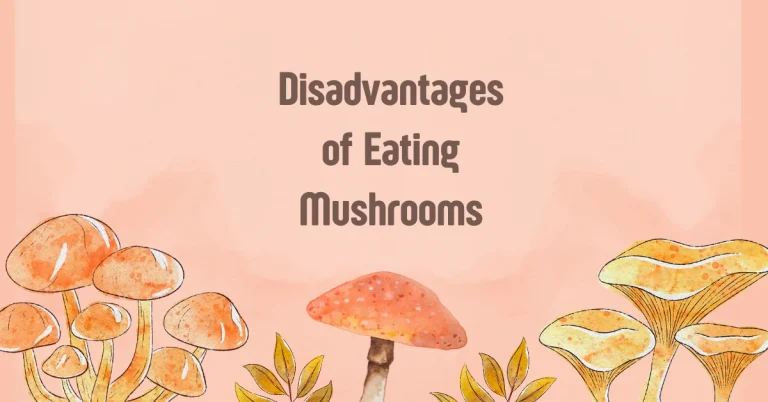 disadvantages of eating mushrooms