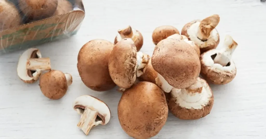 Can Chickens Eat Mushrooms white mushrooms