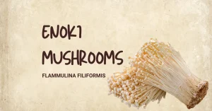 enoki mushrooms