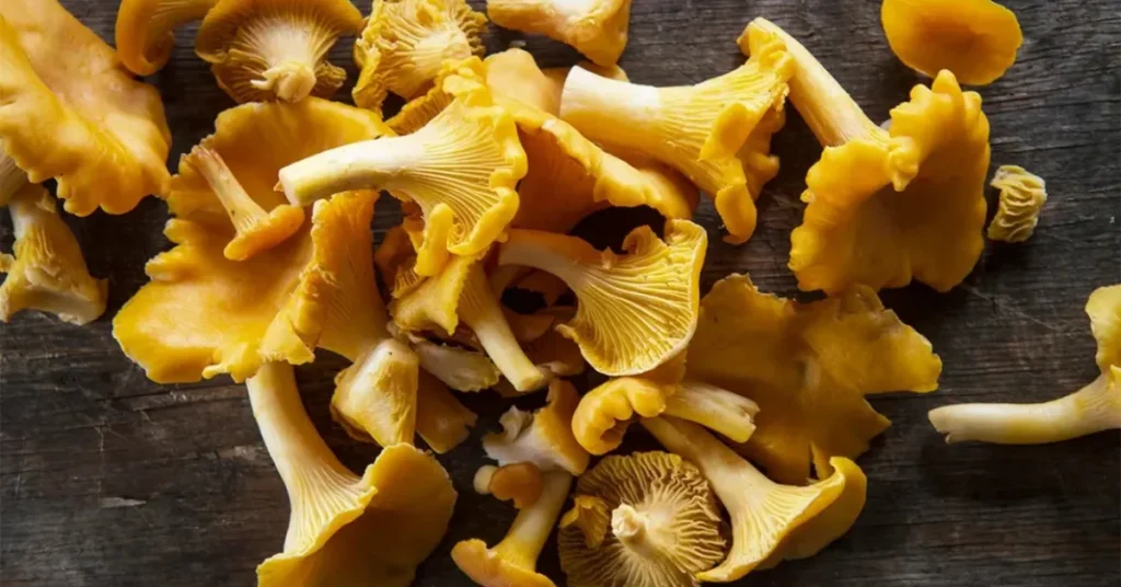 cremini mushroom substitutes