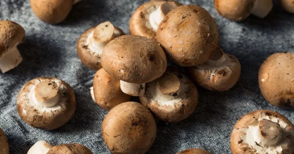 cremini mushroom substitutes portobello