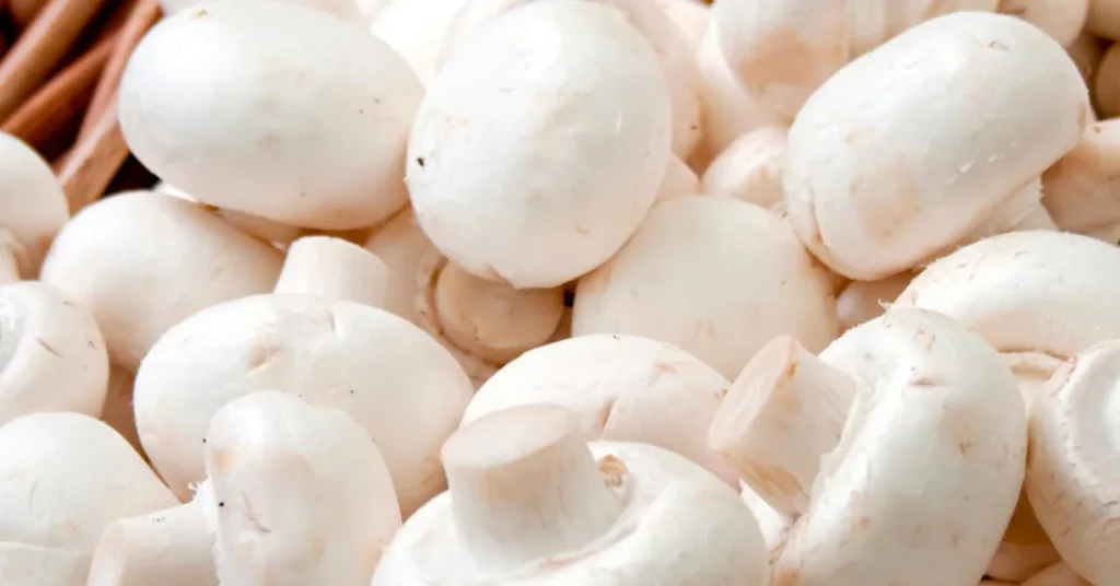 cremini mushroom substitutes white button