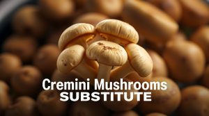 cremini mushrooms substitute